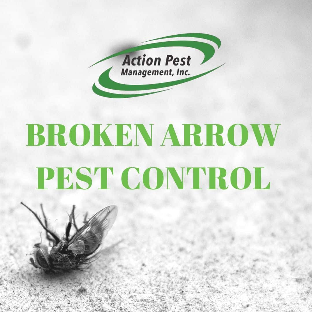 Pest Control in Broken Arrow