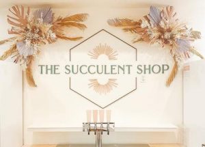 Tulsa Succulent Shop