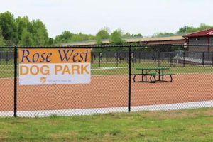 Dog-Friendly Parks in Tulsa