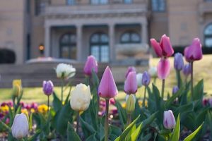 Tulsa Garden Center at Woodward Park