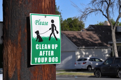 Top-Pooper-Scooper-Companies-in-Tulsa.jpg