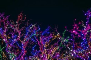 Tulsa Christmas Lights