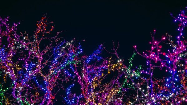 Tulsa Christmas Lights