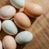 locally sourced food manufacturers in Oklahoma