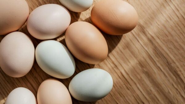 locally sourced food manufacturers in Oklahoma