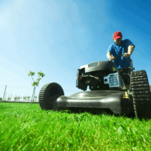 lawn care