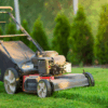 lawn care