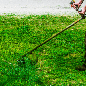 lawn care