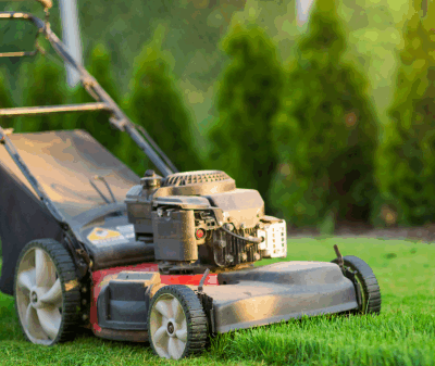lawn care