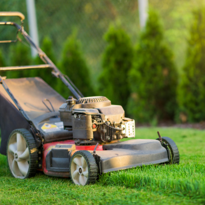 lawn care