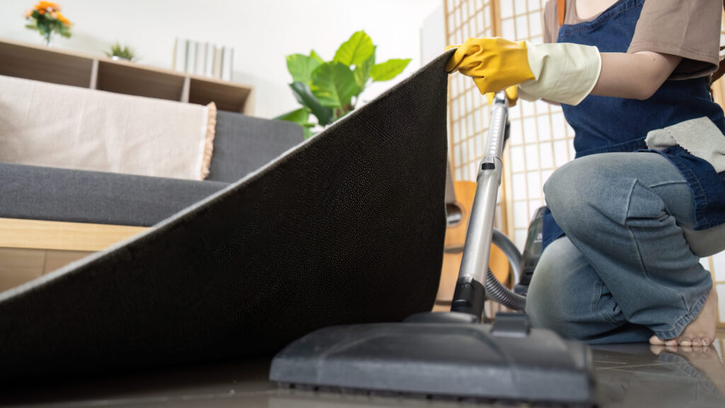 Top 10 Carpet Cleaning Companies in Orange County