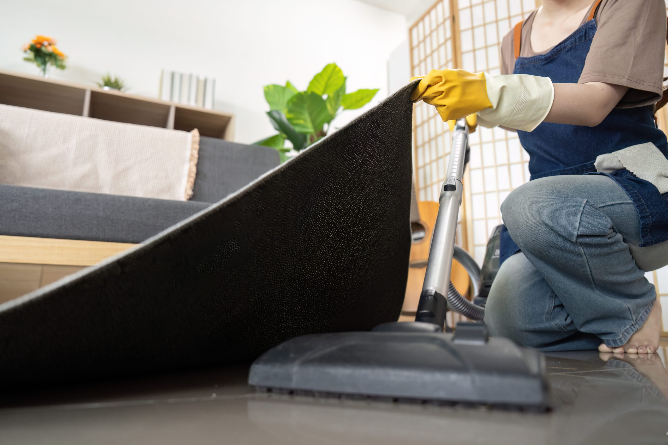Top 10 Carpet Cleaning Companies in Orange County